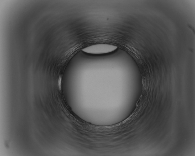 X0000093220047200709261454