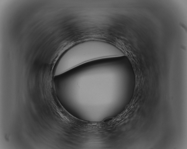 X0000093220050200709261454