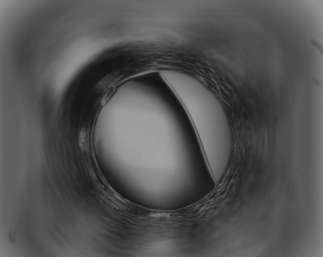 X0000093220052200709261454