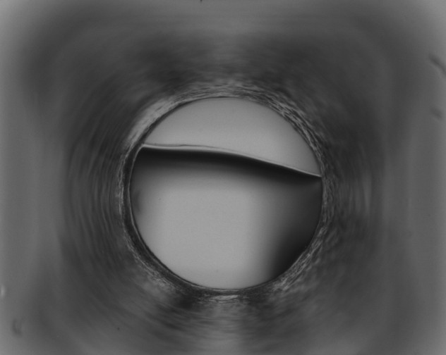 X0000093220054200709261454