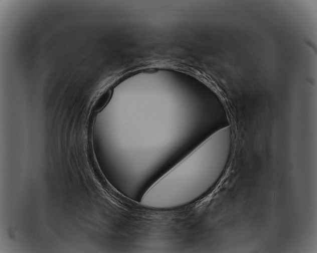 X0000093220055200709261454