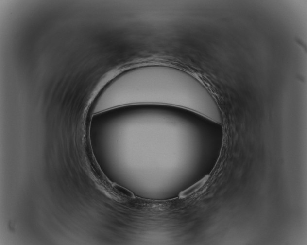 X0000093220056200709261454