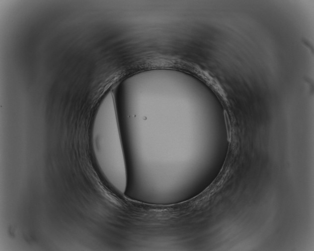 X0000093220057200709261454