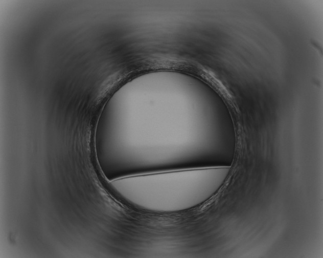 X0000093220058200709261454