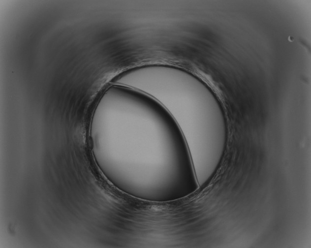 X0000093220060200709261454