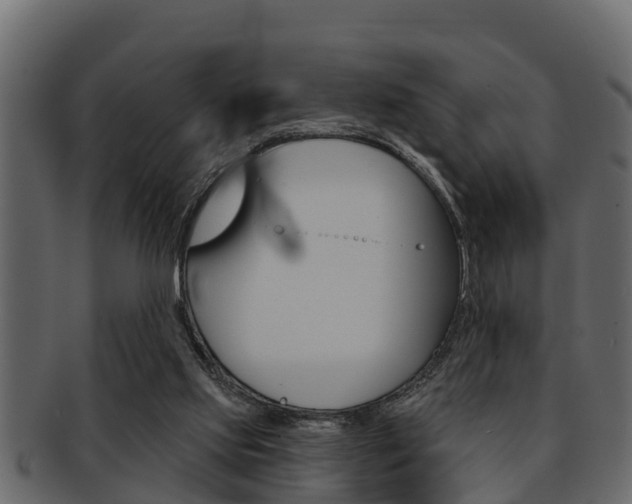 X0000093220061200709261454