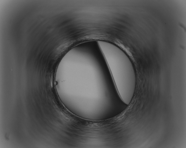 X0000093220062200709261454