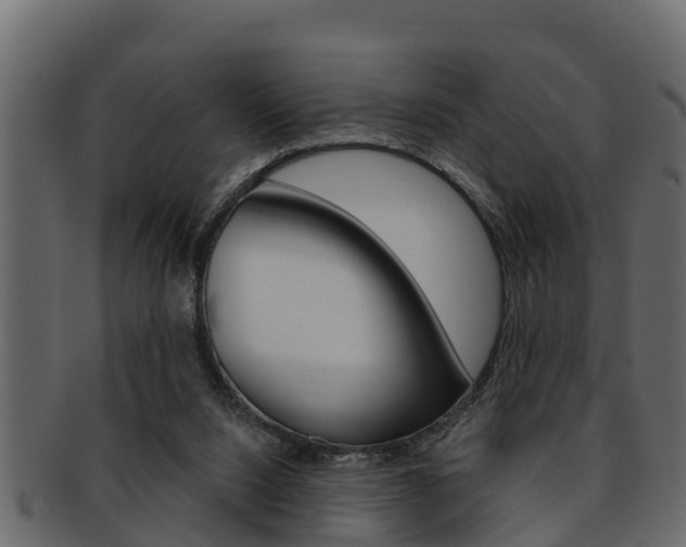 X0000093220064200709261454