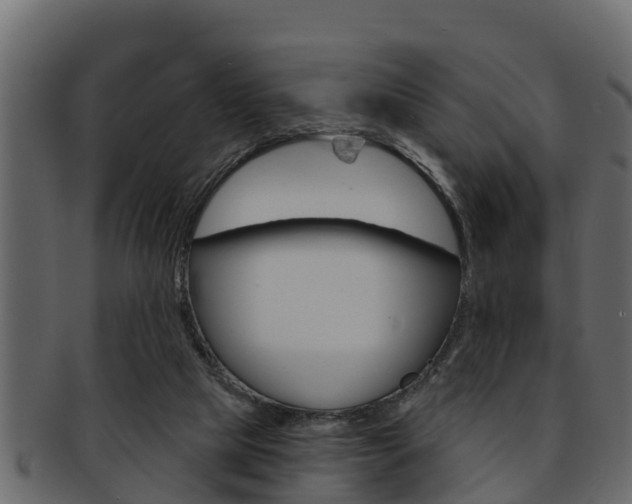 X0000093220065200709261454