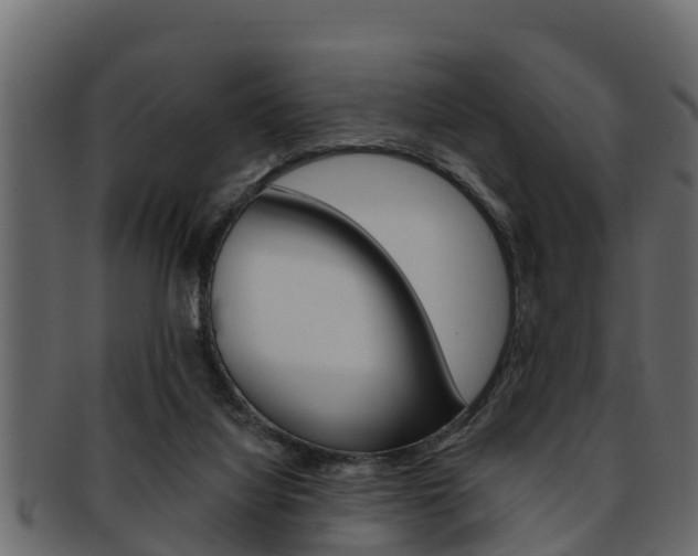 X0000093220068200709261454