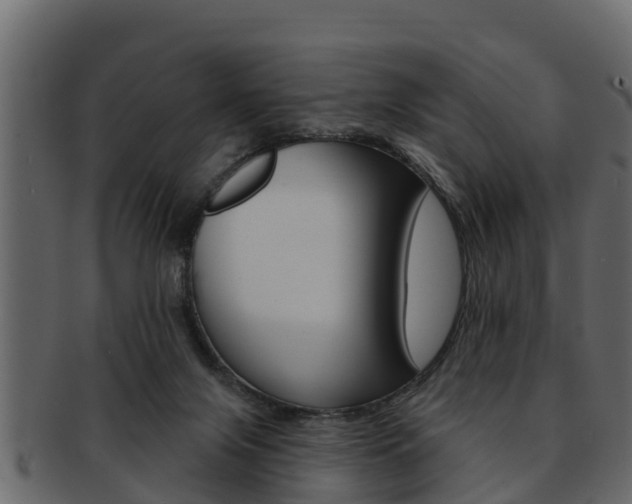 X0000093220071200709261454