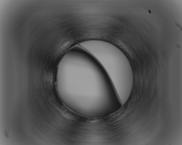 X0000093220072200709261454
