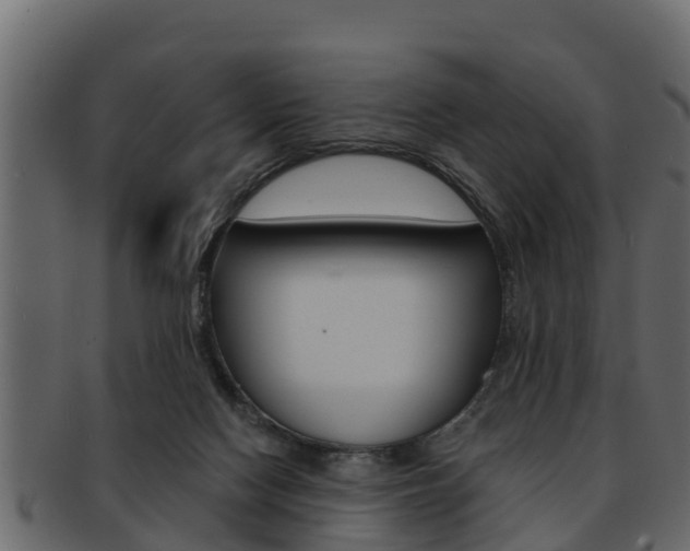 X0000093220074200709261454