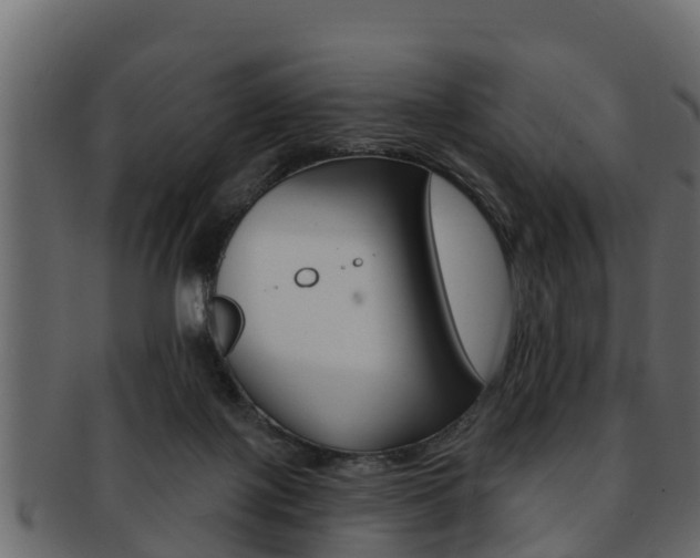X0000093220075200709261454