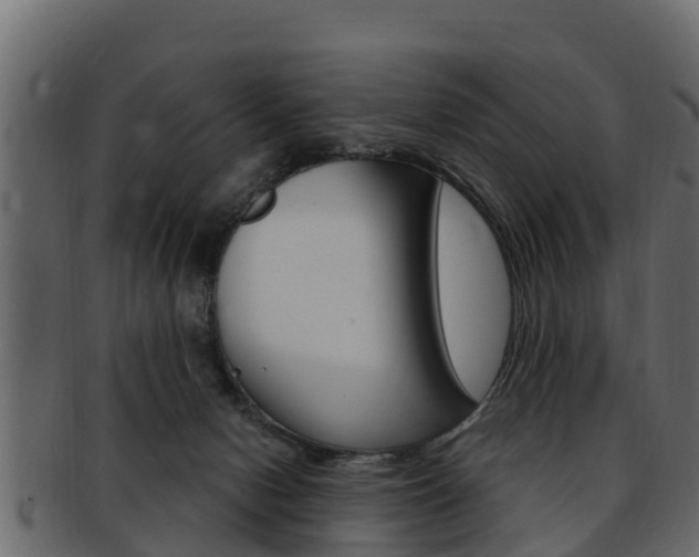 X0000093220078200709261454