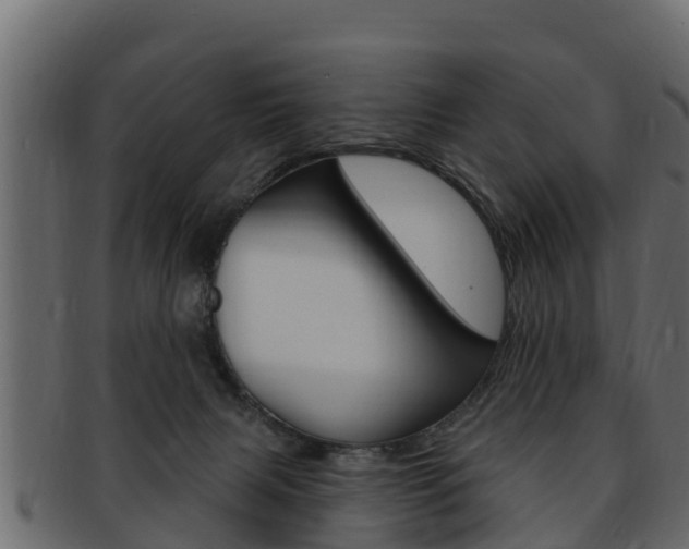 X0000093220079200709261454