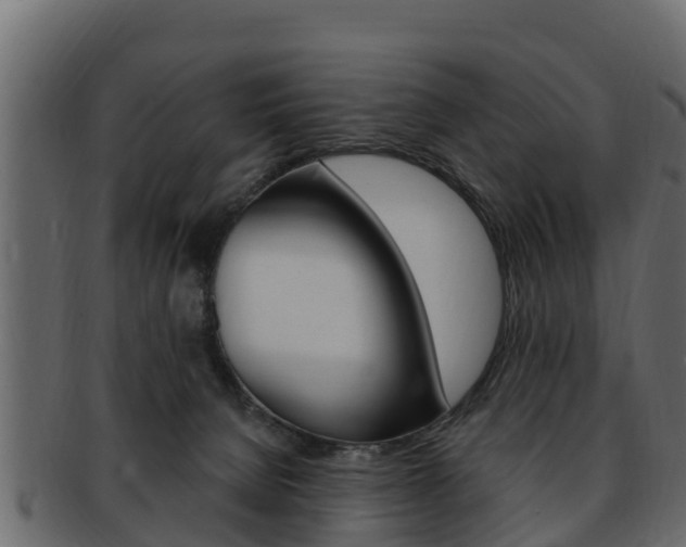 X0000093220080200709261454