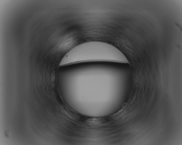 X0000093220082200709261454