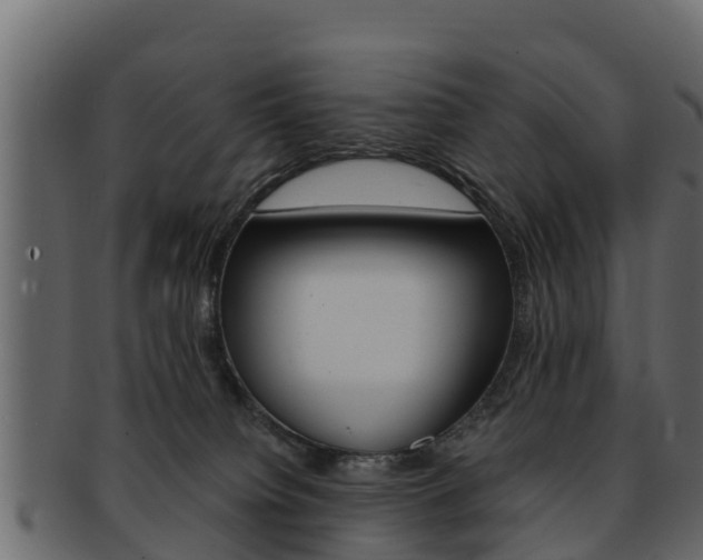 X0000093220084200709261454
