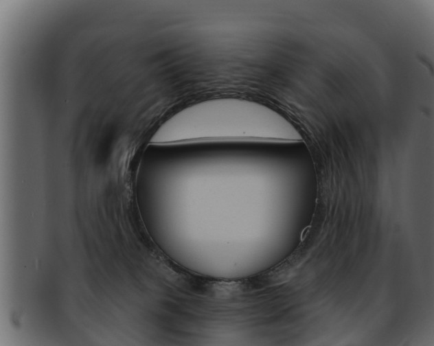 X0000093220085200709261454