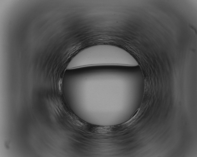 X0000093220094200709261454