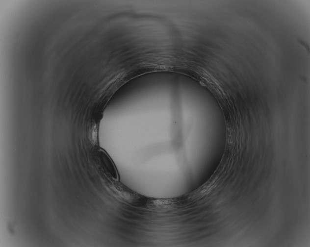 X0000093220095200709261454
