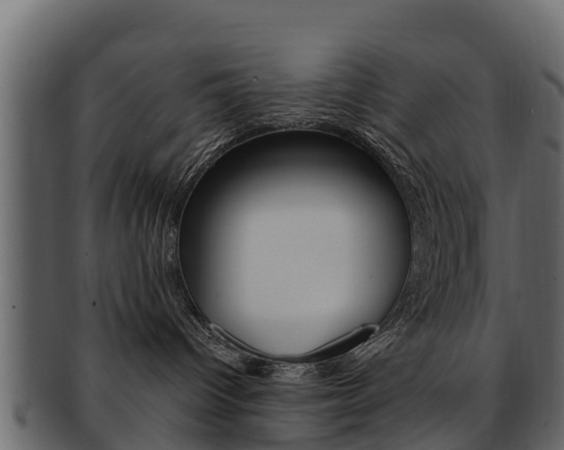 X0000093220096200709261454