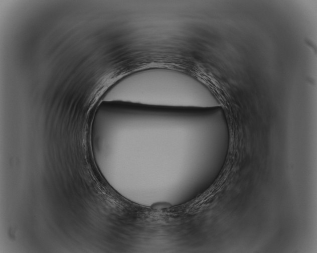 X0000093220098200709261454