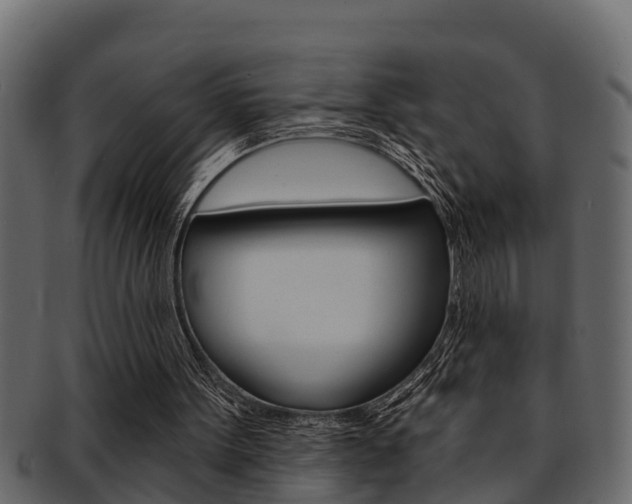 X0000093220099200709261454