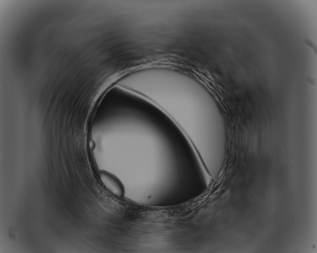X0000093220100200709261454