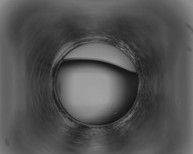 X0000093220101200709261454