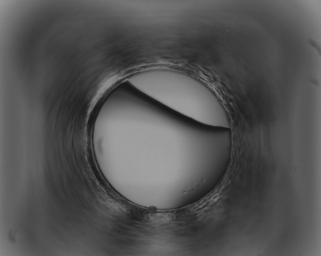 X0000093220102200709261454