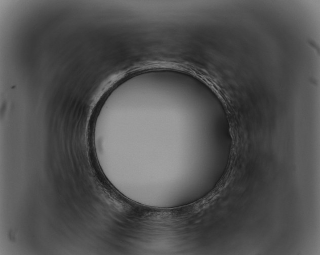 X0000093220104200709261454