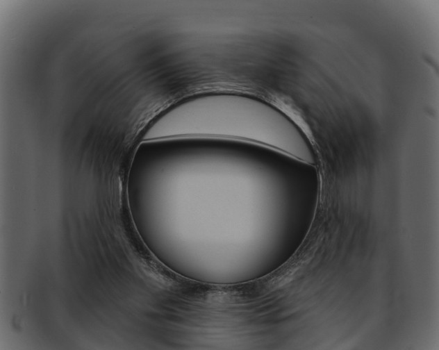 X0000093220109200709261454