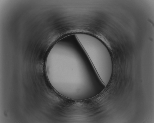 X0000093220111200709261454