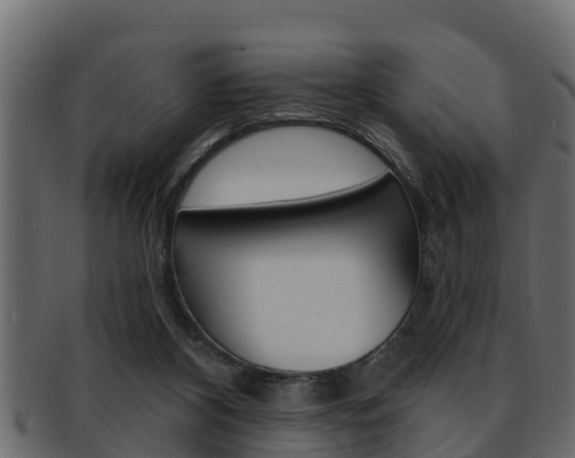 X0000093220116200709261453