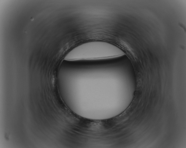 X0000093220124200709261453