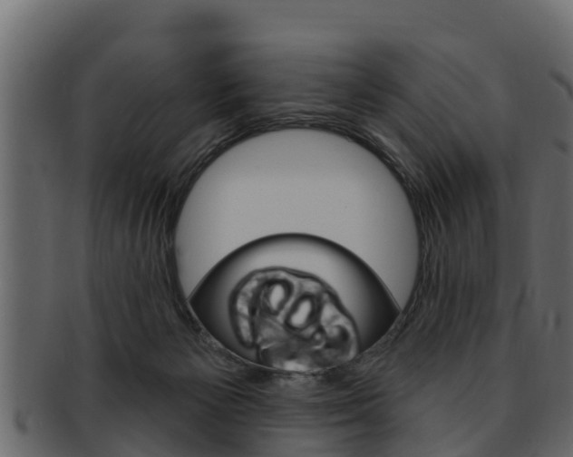X0000093220125200709261453