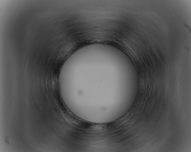 X0000093220126200709261453