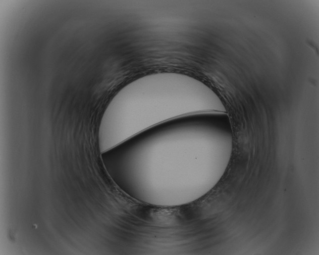 X0000093220129200709261453