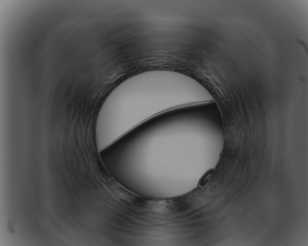 X0000093220131200709261453