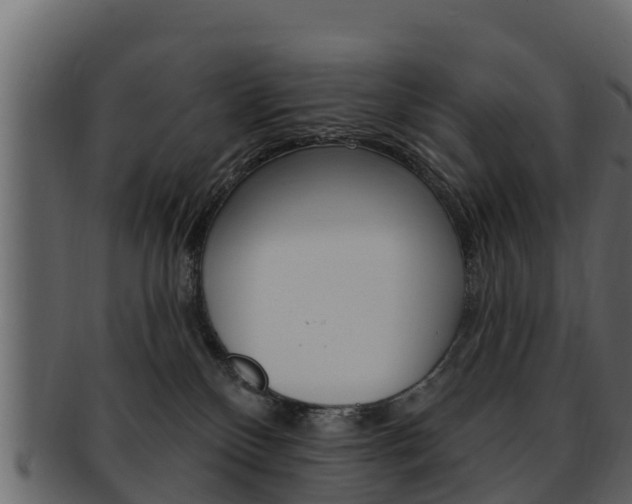 X0000093220136200709261453