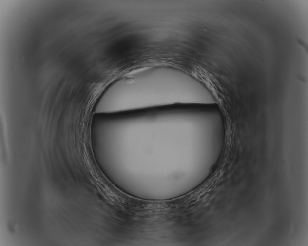 X0000093220145200709261453