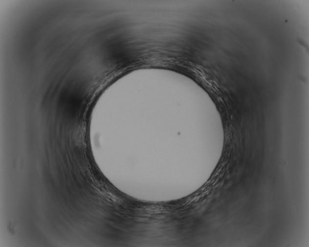 X0000093220146200709261453
