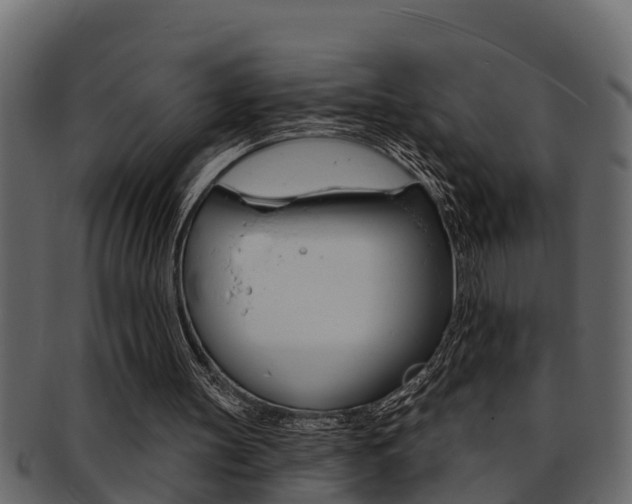 X0000093220147200709261453