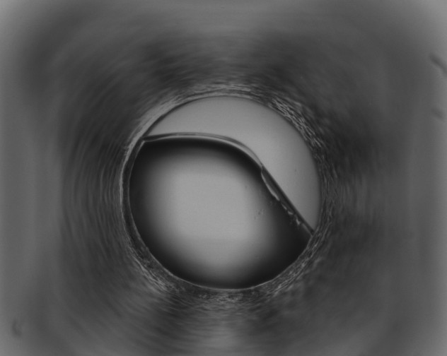 X0000093220148200709261453