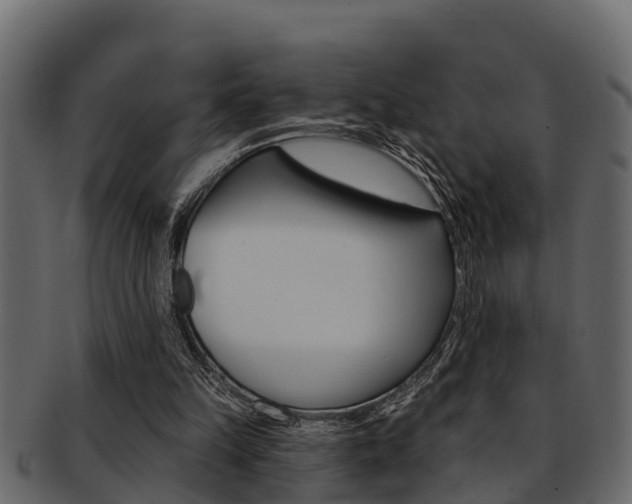 X0000093220149200709261453