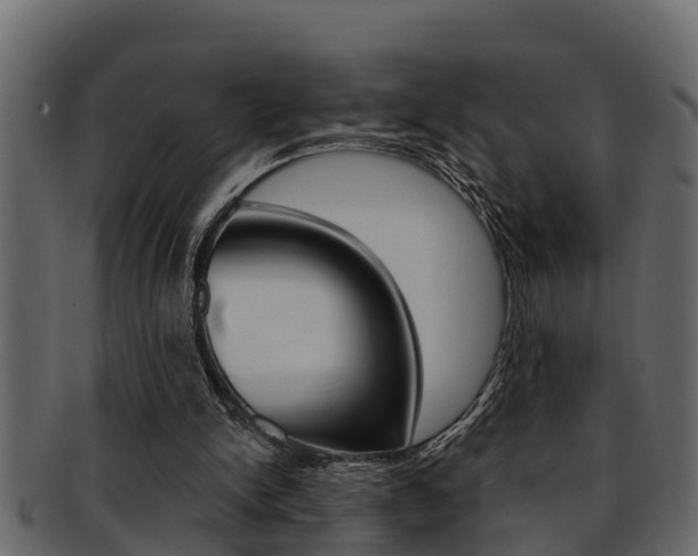 X0000093220150200709261453