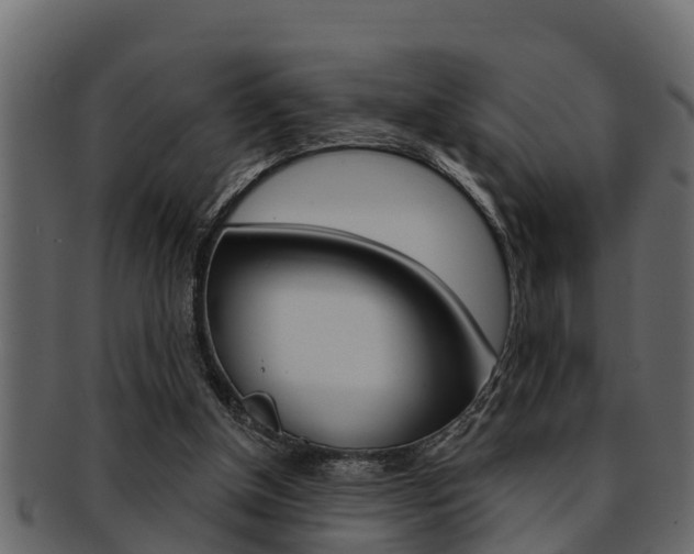 X0000093220154200709261453