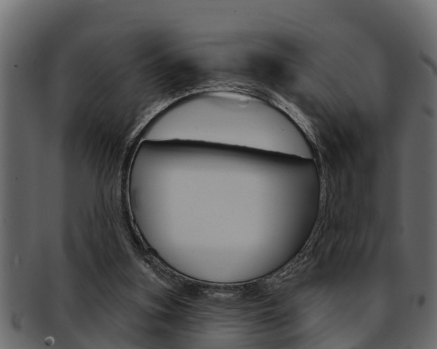 X0000093220155200709261453